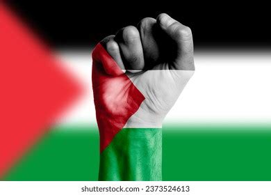 Man Hand Fist State Palestine Flag Stock Photo 2373524613 | Shutterstock