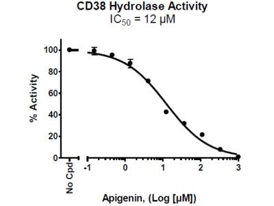 Cd Inhibitor Screening Assay Kit Hydrolase Activity From Bps