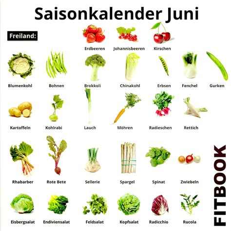 FITBOOK Saisonkalender I regionales Obst Gemüse und Salat