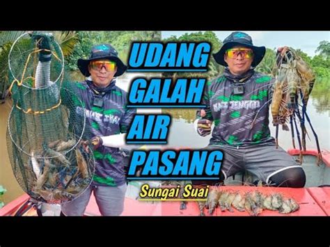 Memancing Udang Galah Di Air Pasang Sungai Suai YouTube