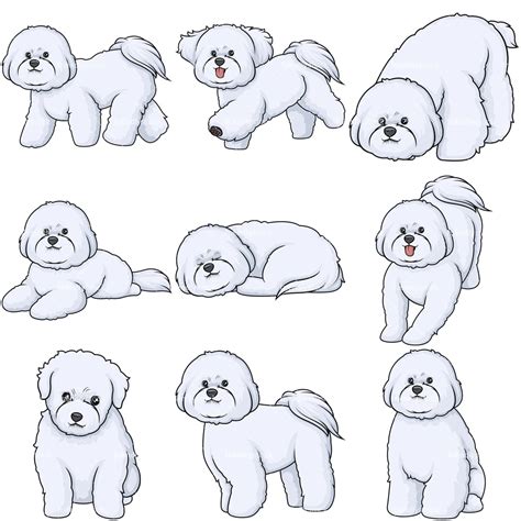 Bichon Puppy Clipart