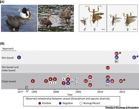 Sexual Dimorphism And Species Diversity From Clades To Sites Trends