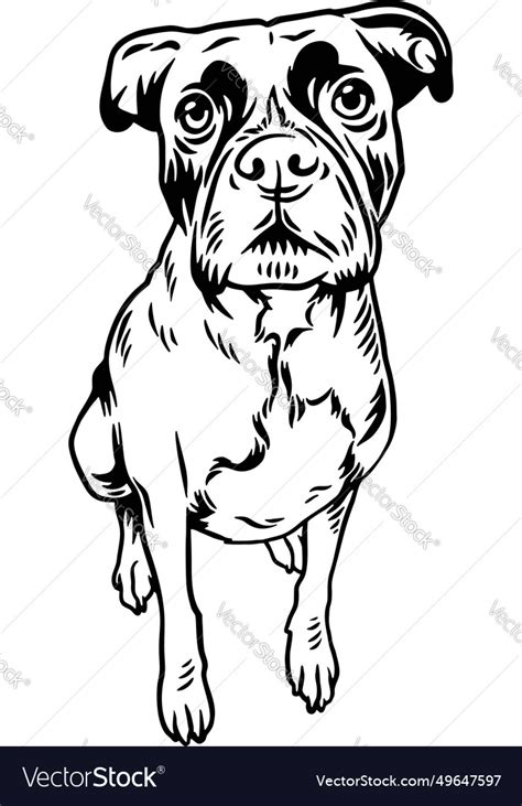 Funny boxer - dog breed file Royalty Free Vector Image