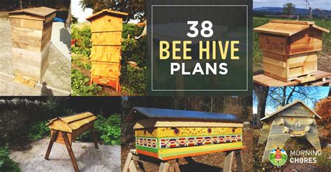 Bee hive top plans ~ Wood outdoor planter box plans