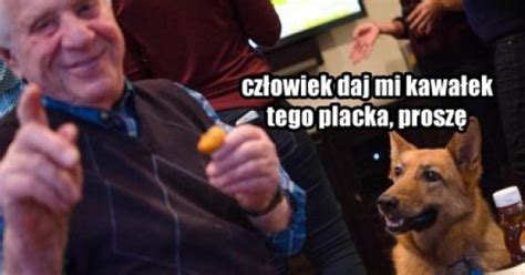 Nie ma nic gorszego niż zostać wykiwanym przez jak przypuszczałeś