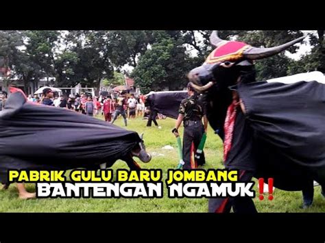 Bantengan Ngamuk Jaranan FRMJ Dor Live Pabrik Gula Baru Jombang YouTube