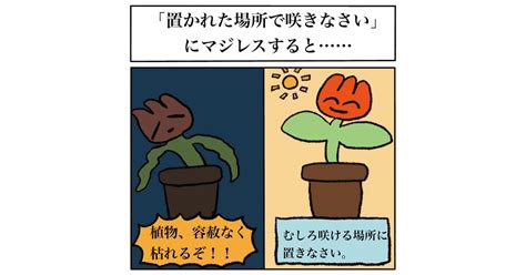 「置かれた場所で咲きなさい」は残酷な言葉なのか 植物の在り方を踏まえた投稿が話題に（12 ページ） ねとらぼ