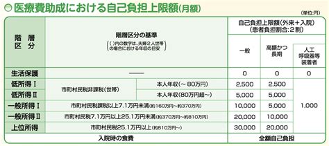 難病医療費助成制度（54）について超分かりやすく解説します！｜リハウルフ