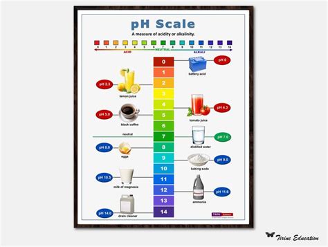 Ph Scale Science Chemistry Poster, Educational Science Poster ...