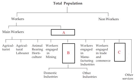 Divisions Of Worker Categories Given Above Is A Diagram Representing