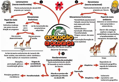 Mapas Mentais Sobre DARWINISMO Study Maps