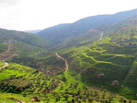 Från Amman Privat rundtur i Jerash Ajlouns slott och Umm Qais