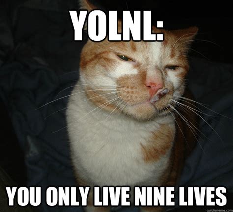 YOLNL You Only Live Nine Lives Cool Cat Craig Quickmeme