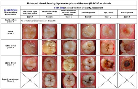 Ijerph Free Full Text Development Methodology And Potential Of The