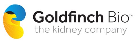 Goldfinch Bio Raises 55m In Series A Financing FinSMEs