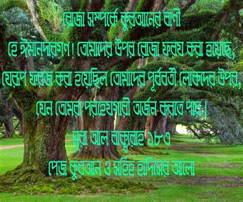 Bangla Hadis Sharif Sahih Al Bukhari Free Download In Pdf Format