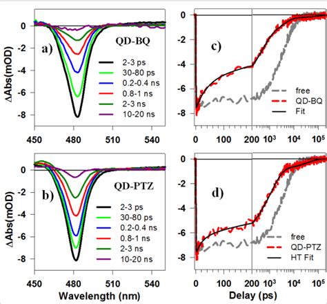 Ultrafast Interfacial Electron And Hole Transfer From Cspbbr3