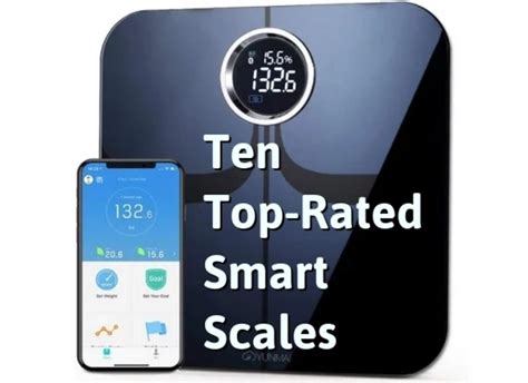 Top Ten Fat Scales - CalorieBee