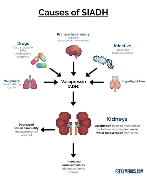 Syndrome Of Inappropriate ADH Secretion MEDizzy