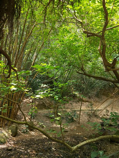 先有番禺后有广州，滴水岩森林公园，番禺沙湾古镇，体验广州慢生活（上篇） 广州旅游攻略 游记 去哪儿攻略