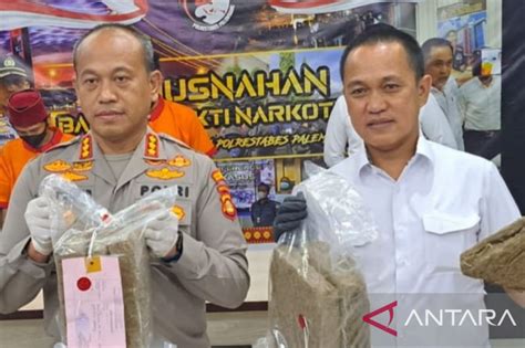 2 Pengedar Ganja Jaringan Maluku Ditangkap Polisi Di Palemban Genpi