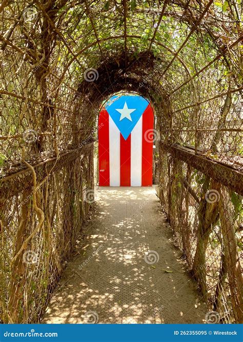 Vertical Shot of an Arch Covered in Crawling Plants with the Flag of