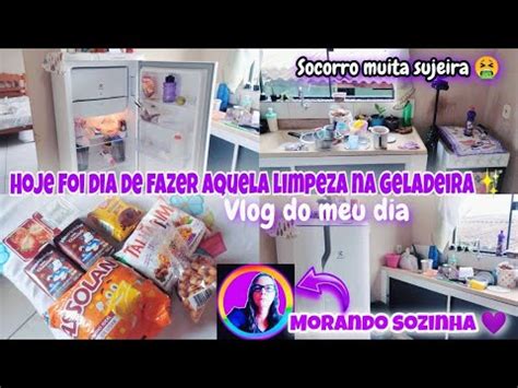 VLOG DO DIA LIMPEZA NA GELADEIRA FOMOS PEGAR RESULTADO DO RX DELE