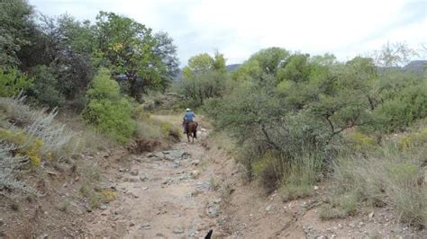 Foothills Ranch Mayer Az Top Tips Before You Go With Photos