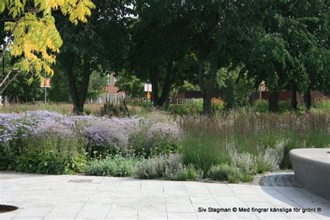 Skärholmen Park by Piet Oudolf | Landscape design, Plants, Piet