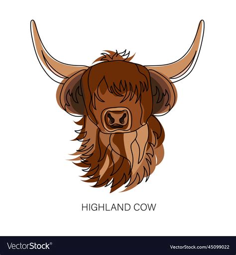 Portrait of highland cattle cow Royalty Free Vector Image