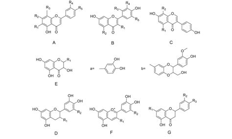 Skeleton Structures Of Active Flavonoids A Flavones B Flavonols C