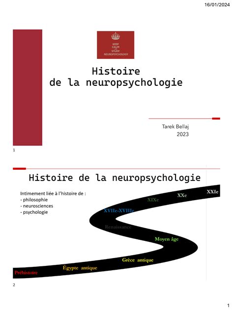 Cours Histoire De La Np Tb Histoire De La Neuropsychologie