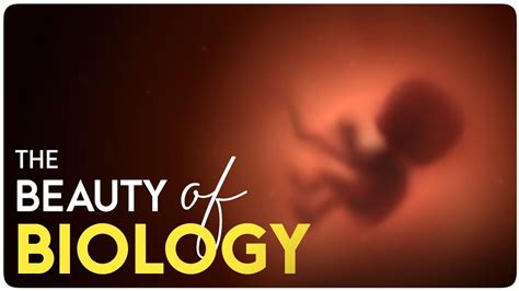 The Beauty Of Biology Biology Motivational Video Youtube