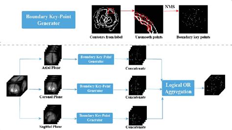 Figure 2 From Fetal Brain Mri Segmentation Via Boundary Aware Voxel Level Contrastive Learning