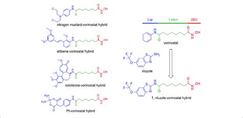 compound design strategy  introducing  biologically active