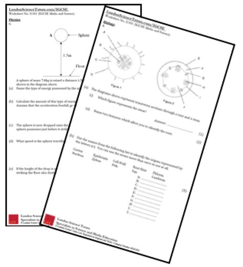 GCSE Past Papers - London Science Tutors