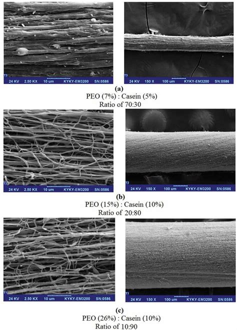 Sem Images Of Nanofiber Yarn Produced From Peo Casein Solution