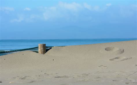 Footsteps Pegasus Bay New Zealand Dannie Armstrong Flickr