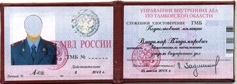 accuseprecision - Blog