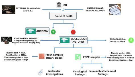 Sudden Death in Adults: A Practical Flow Chart for Pathologist Guidance