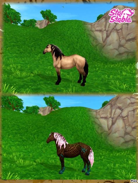 Pin On Star Stable Online Mes Chevaux Par Compte