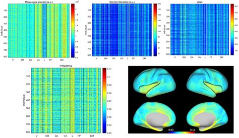 Frontiers Relationship Between Basic Properties Of BOLD Fluctuations