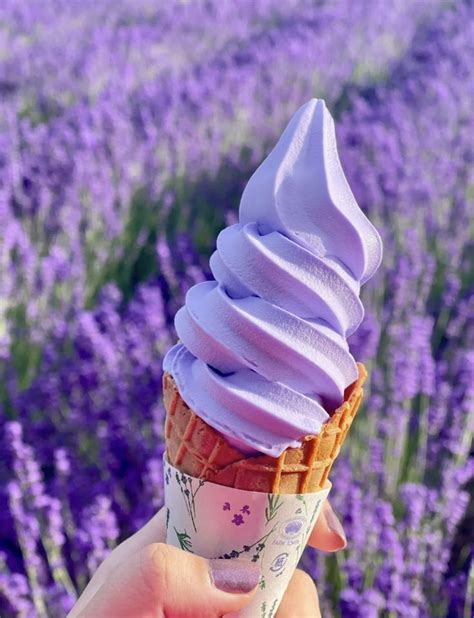 Cream Aesthetic Purple Aesthetic Aesthetic Food Ube Ice Cream Delicious Desserts Yummy Food