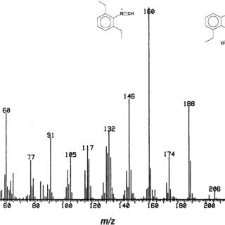 GC EI MS Chromatograms Of Treatment Products From A Rat Treated With