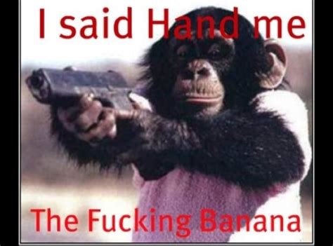 Monkey Gone Bad Monkey Pictures Funny Pictures Animal Pictures