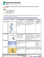 Grade 10 DNA Keywords And Structure Docx Amoeba Sisters Video Recap