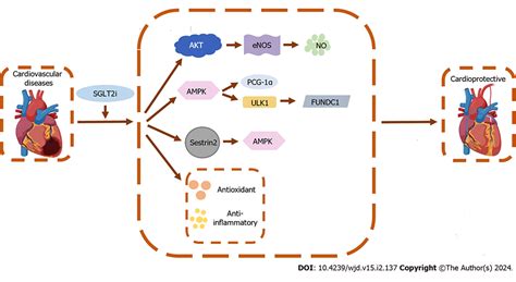 World Journal Of Diabetes Baishideng Publishing Group