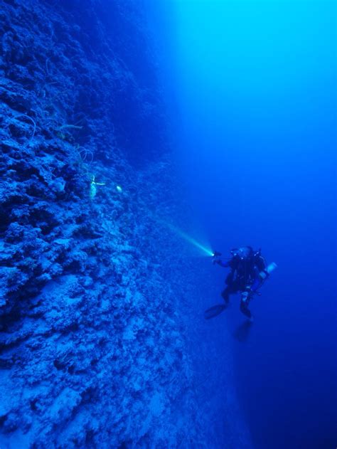 The Tongue of the Ocean, Andros island Bahamas : thalassophobia