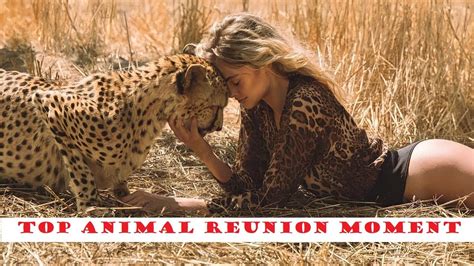 Most Emotional Animal Reunion Moments Youtube