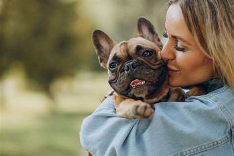 When Reunited With Their Owners, Dogs Cry Happy Tears - Researchers Find